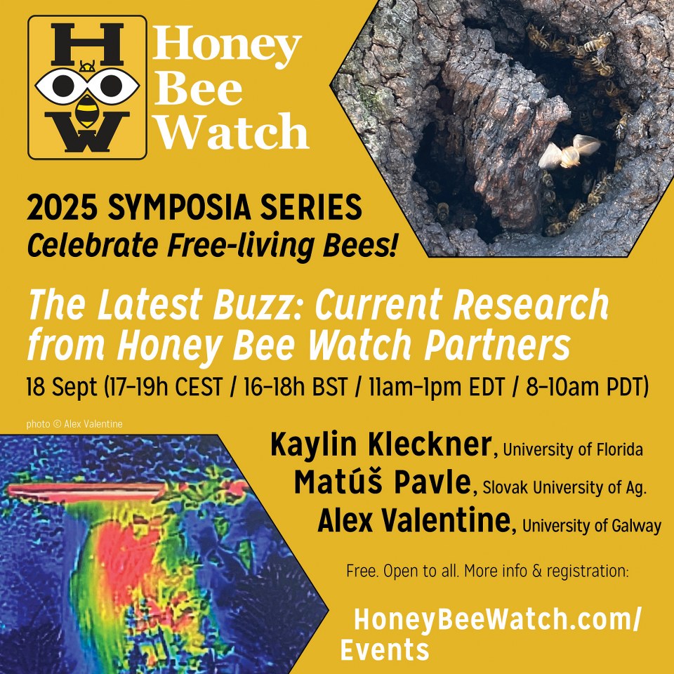 Prednáška o voľne žijúcich včelstvách na Slovensku